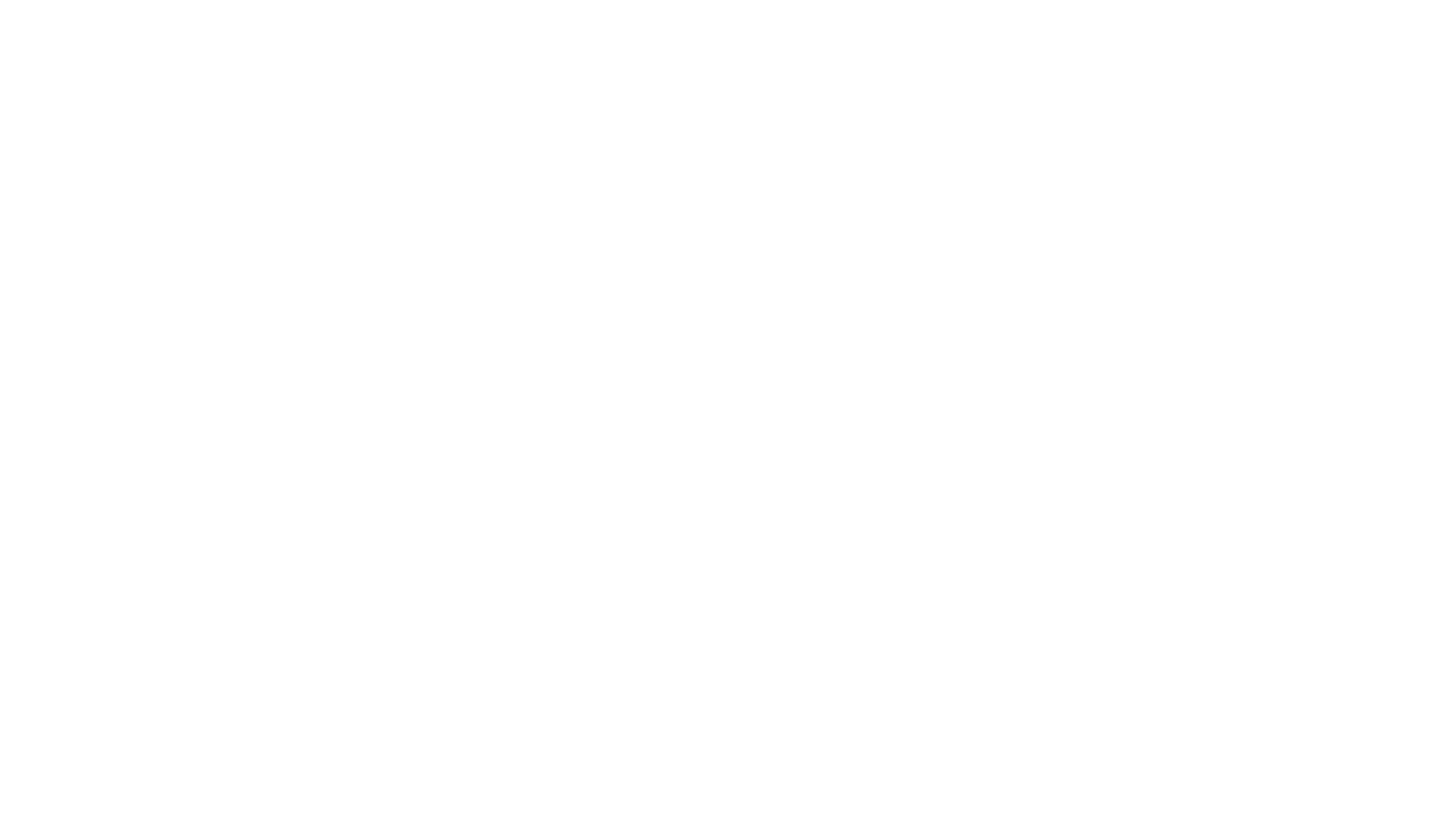 Logo Vertige Lingerie